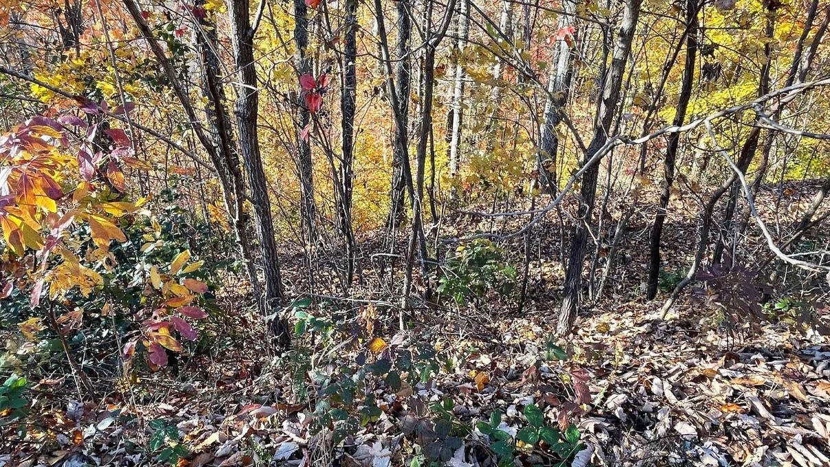 39m Mountain Harbour Dr  