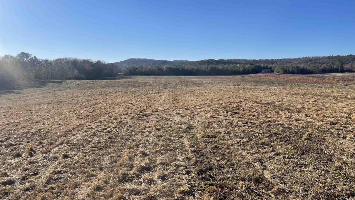 20 Acres GALLUPS Ln  