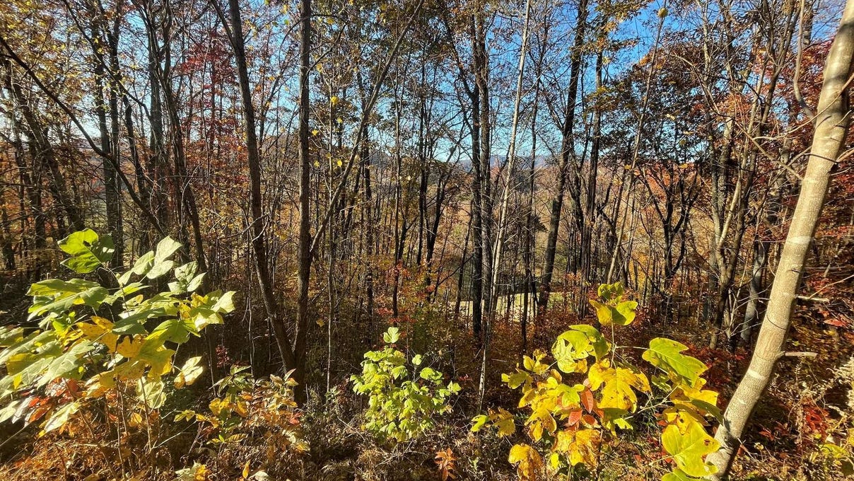 40m Mountain Harbour Dr  