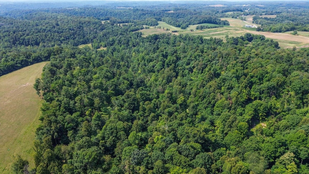 0 Friendly Ridge Rd Tract 3