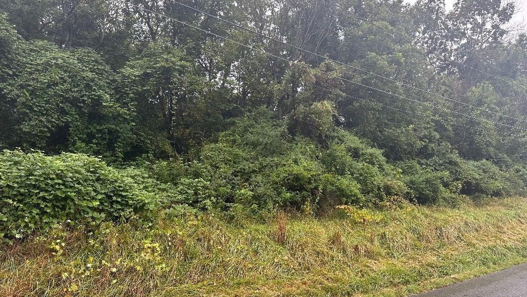 2346-2318 Holiday St