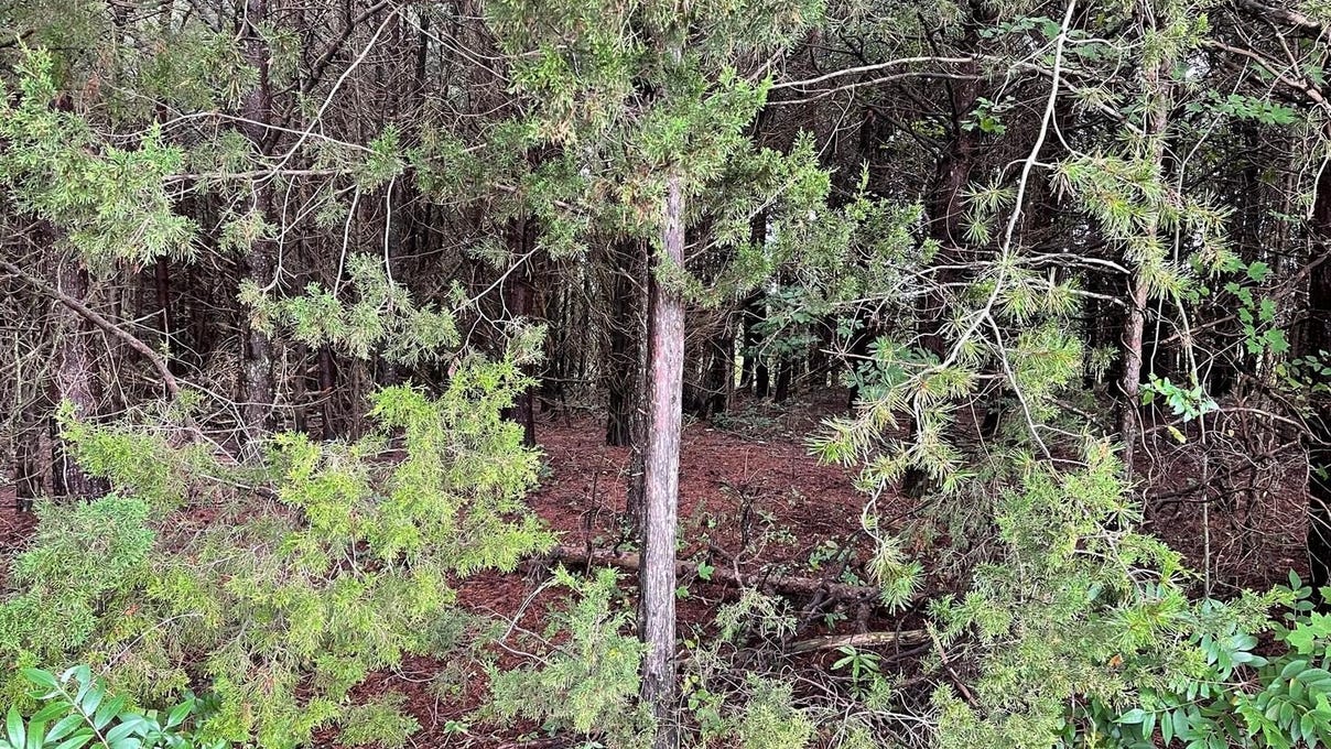 3708 Morning Glory Rd  