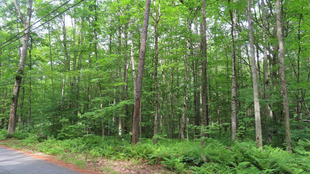 Lot 1--435 Chapman Rd