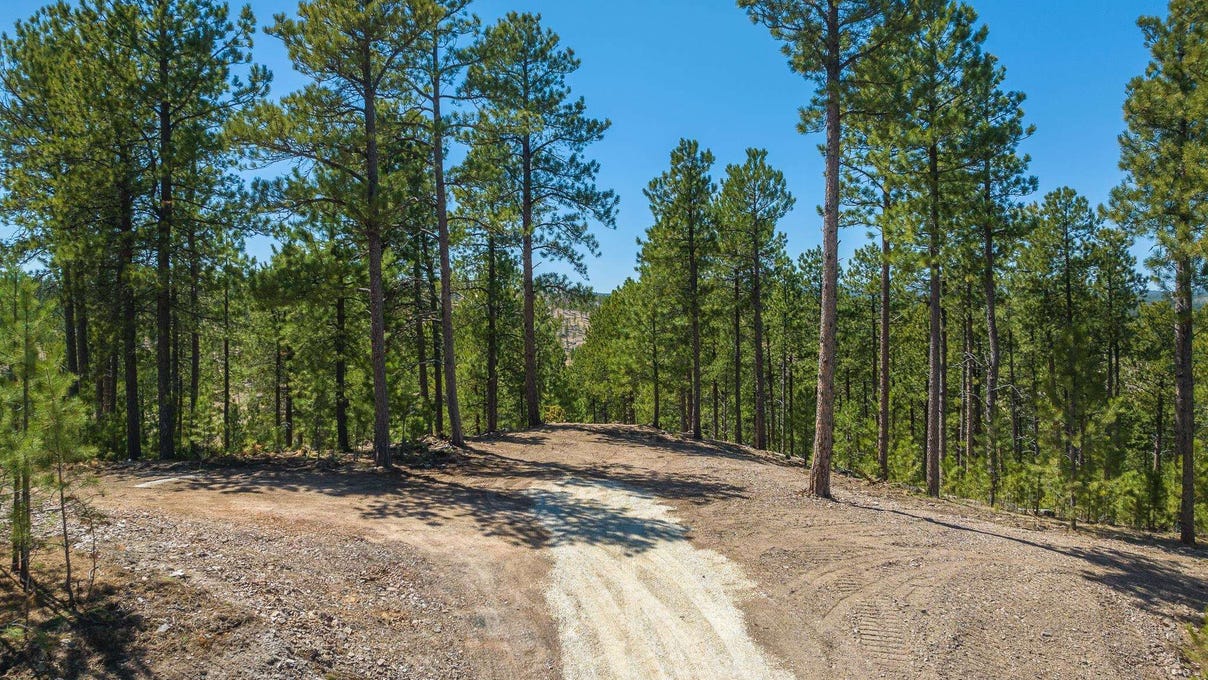 TBD Diamond Dale Place, Nemo, SD 57759 Land for Sale