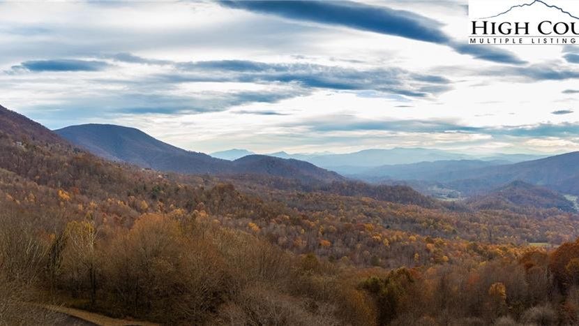 H407 Buffalo NVNO N/A