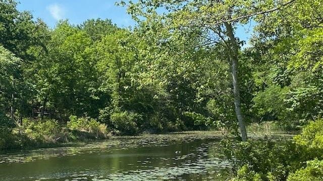 7110 Whispering Oaks Dr  