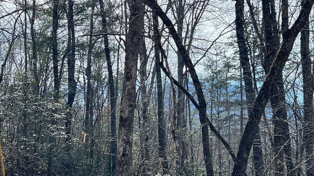 Lts 849 Penland Indian Trl  