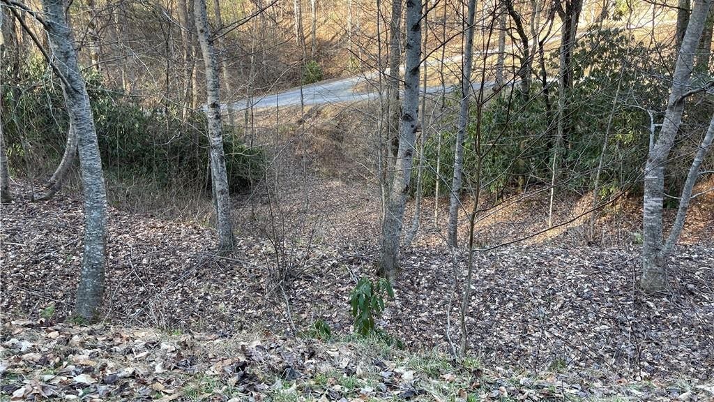 Lot 38 Brush Creek Mtn Rd  