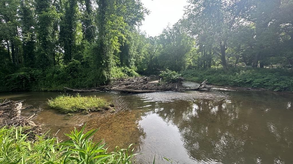 Lot 53 Prosperity Dr