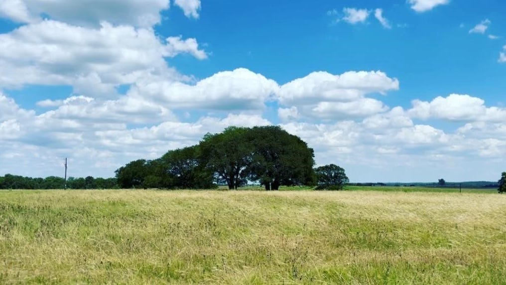 TBD 6 Pacen Place, Chappell Hill, TX 77426 Land for Sale realestate