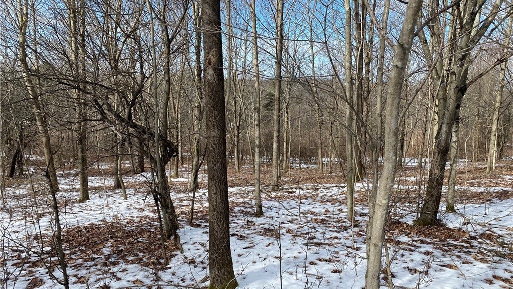 Lot Unit 9 County Hwy 14  