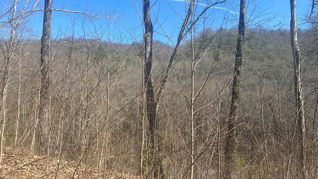 Lot 94 Towalgia Dr  