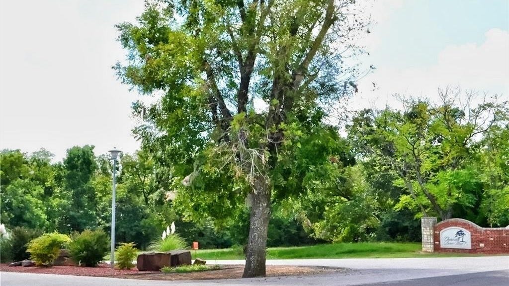 19464 Charleston Pointe  