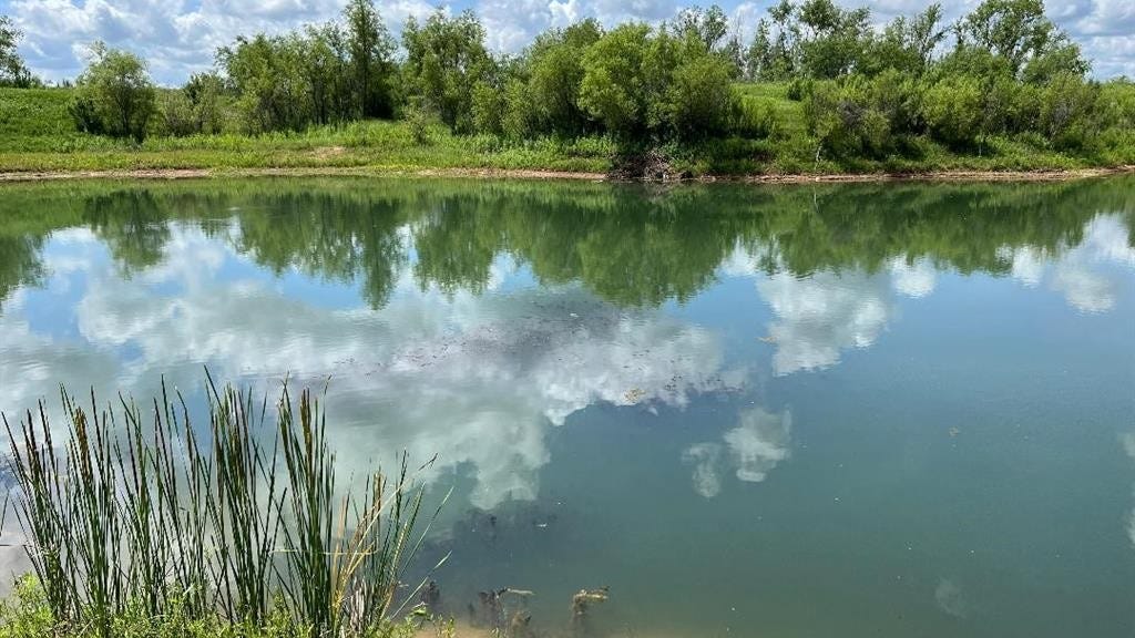 Hcr 2200, Aquilla, TX 76622 Land for Sale