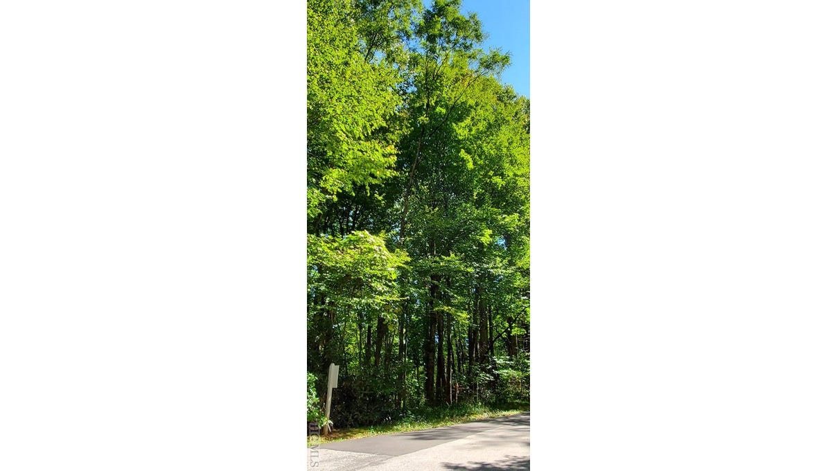 Lot 55 Black Oak Dr