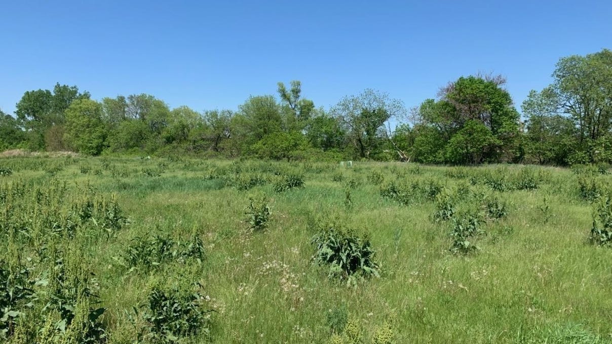 1001 - 1103 Patricia Dr  