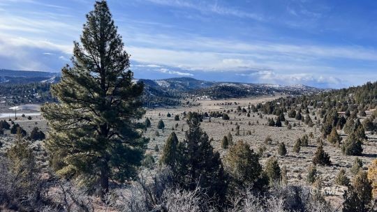 HIGHWAY 89  