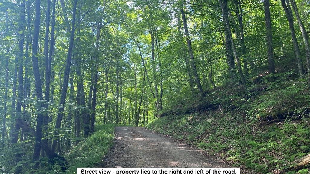 Lot 3 Black Gap Rd  