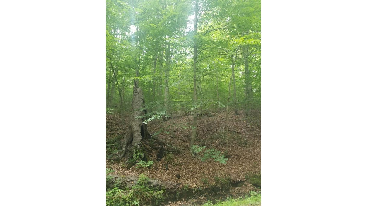 0 Lick Run/Miller Rd