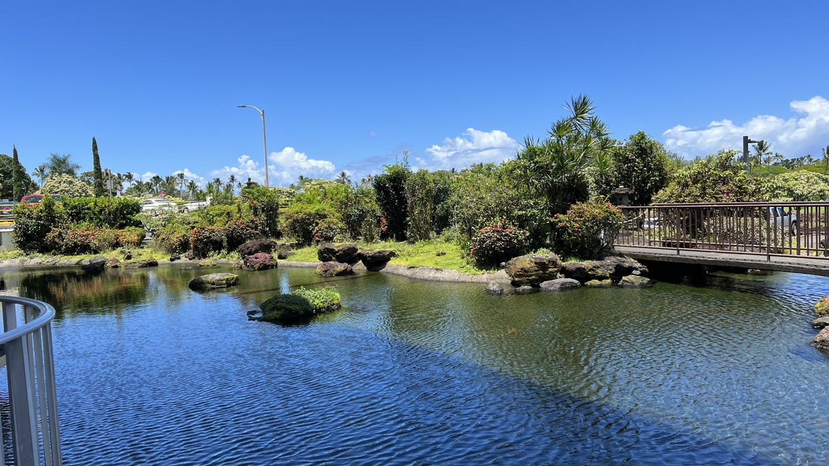 101 HILO LAGOON CENTRE  