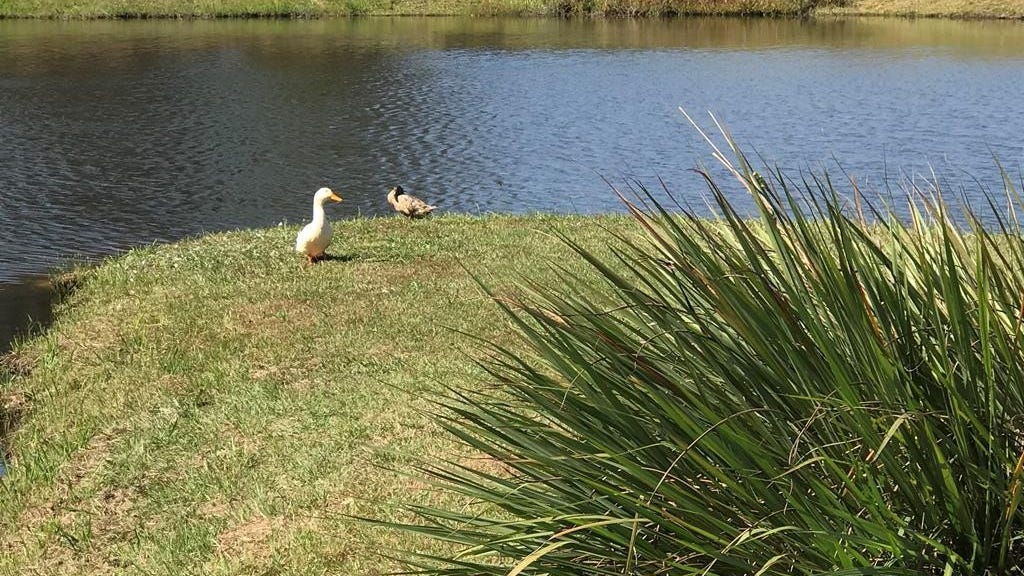 LOT 18 PHASE 1 COUNTY Rd 49  