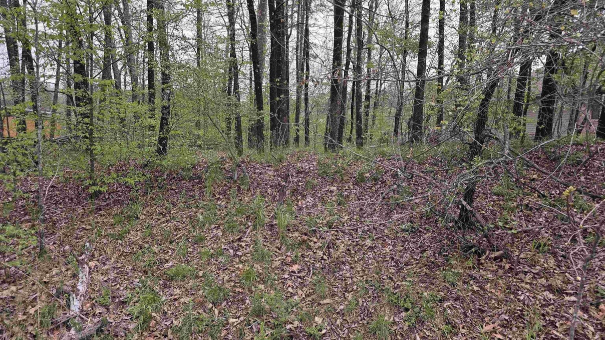 Lot 1806 PEBBLE Bch Dr  