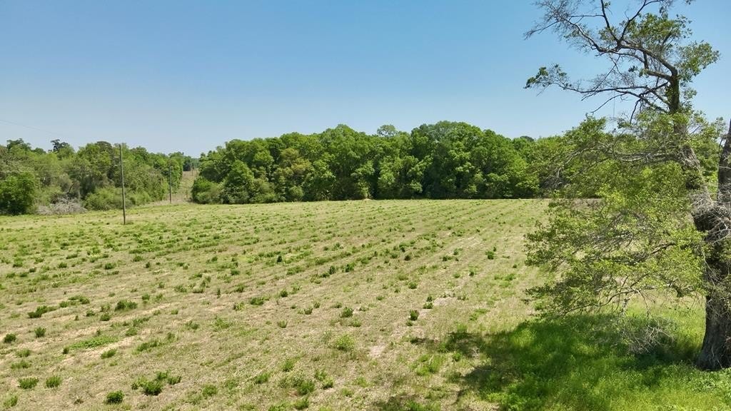 11 97 acres Omussee Rd  