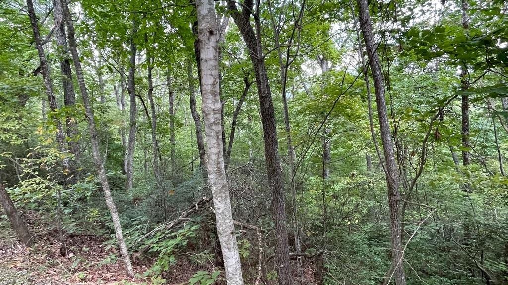 Lot 20 Enchanted Rdg  