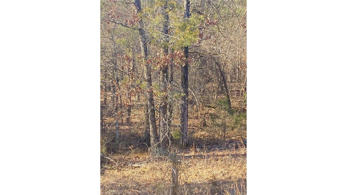 TBD Carbon City, Paris, AR 72855 Land for Sale