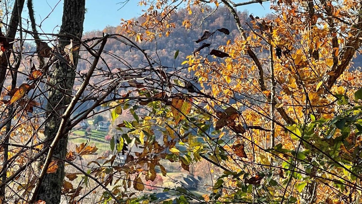 37m Mountain Harbour Dr  