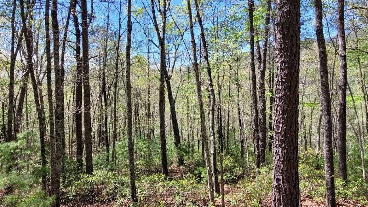 Lot 21 Little Fox Run  
