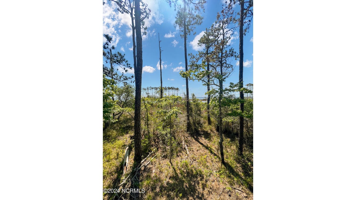 175 River Watch Rd  