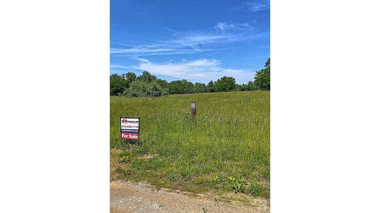 380 Blue Valley Road, Madisonville, KY 42431 Land for Sale realestate
