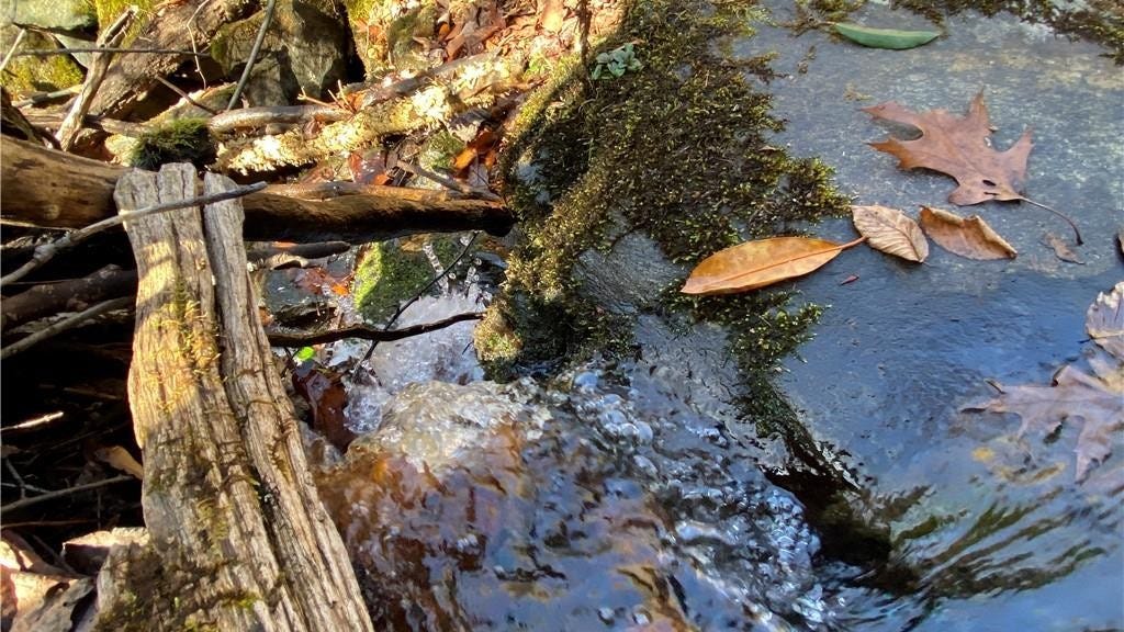 153 Stillie Snyder Rd