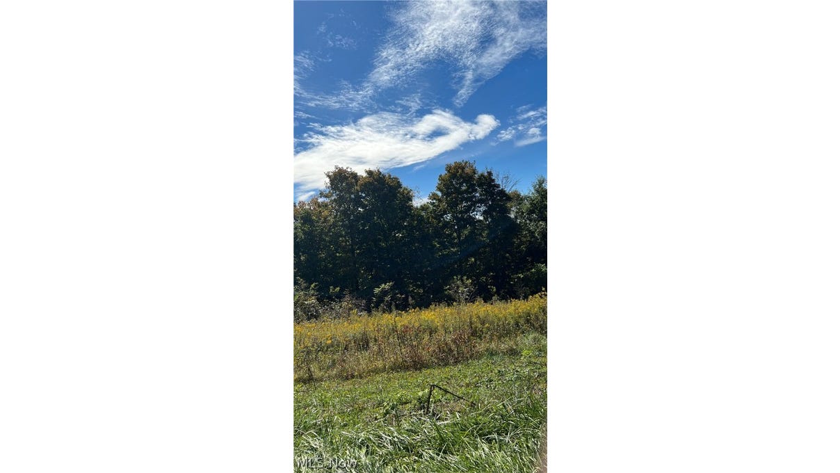 5056 Flint Ridge Road NE, Crooksville, OH 43731 Land for Sale