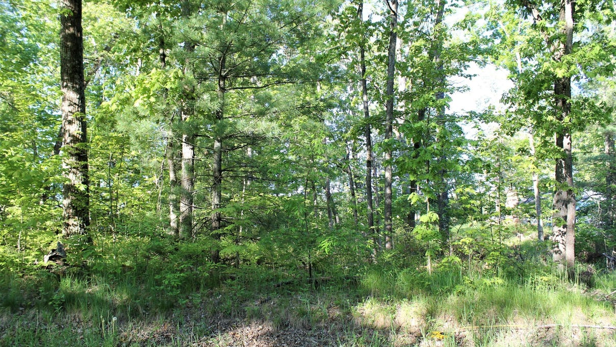 VL S DELTA PLACE, IDLEWILD, MI 49642 Land for Sale
