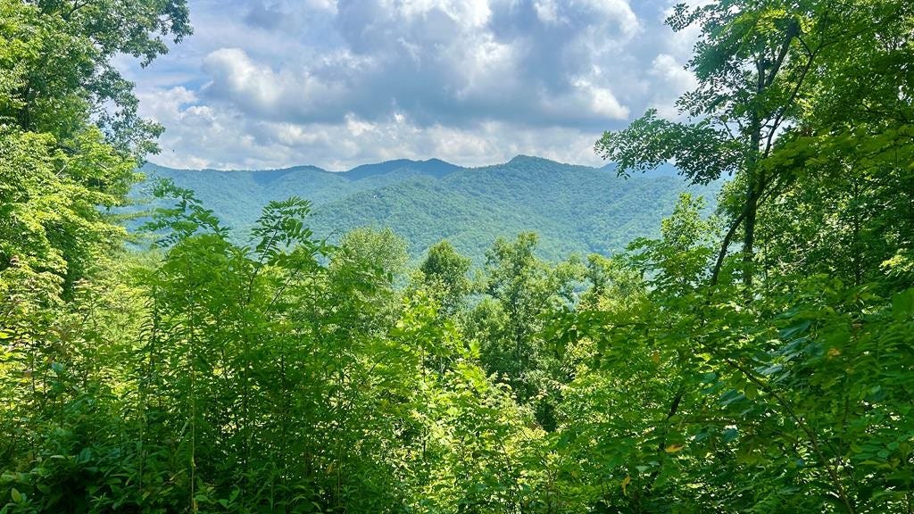 Lot 11 Hickory Rock Rd  