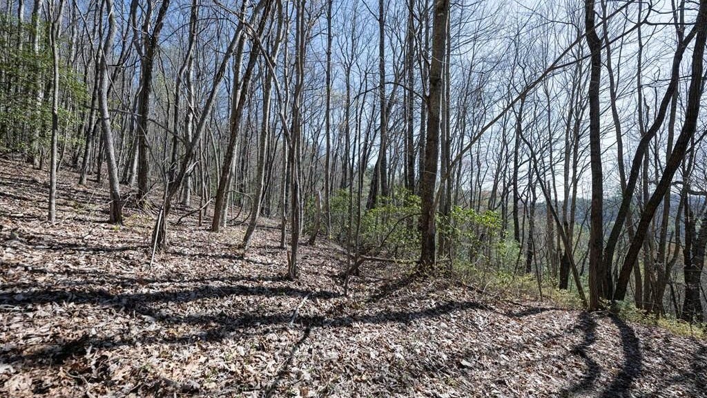 Lot 8 Meadow Crst Dr