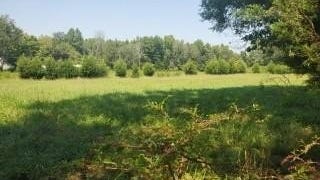 4858 US Hwy 311  