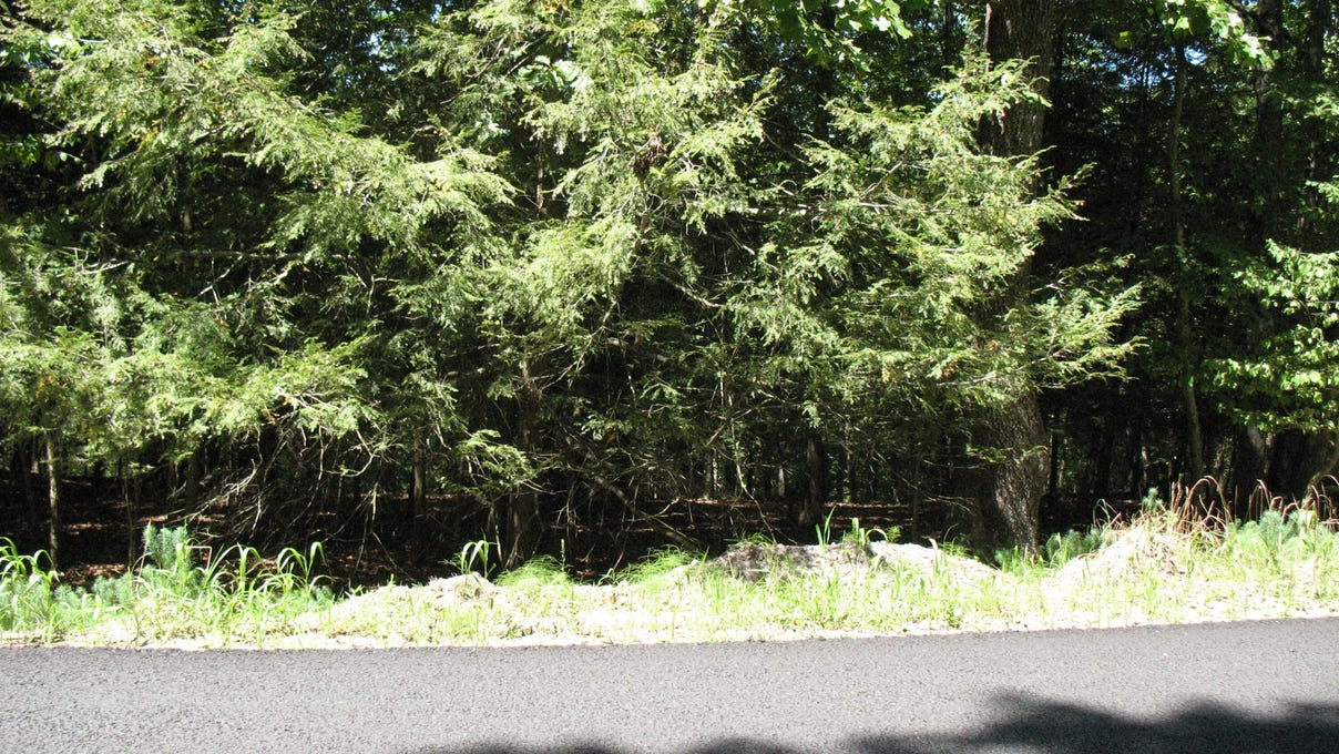 Lot 24 Valley View (AKA Clubhouse Dr) Circle, East Stroudsburg, PA