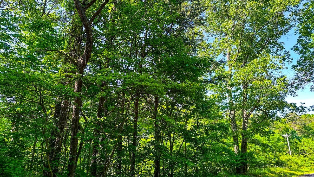 0 Fisher Ridge Rd Tract 7  