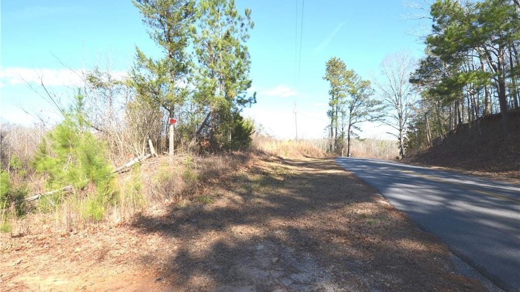 000 BOOGER HOLLOW ROAD, DADEVILLE, AL 36853 Land for Sale realestate