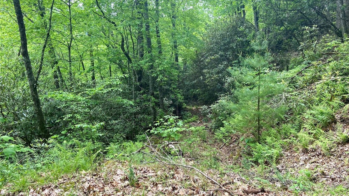 Lot 10 Mystic Forest Way  