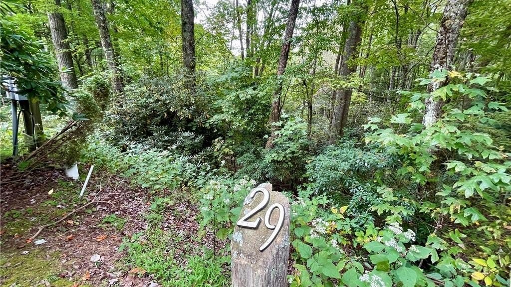 Tbd Lot 29 Chickasaw Trl  