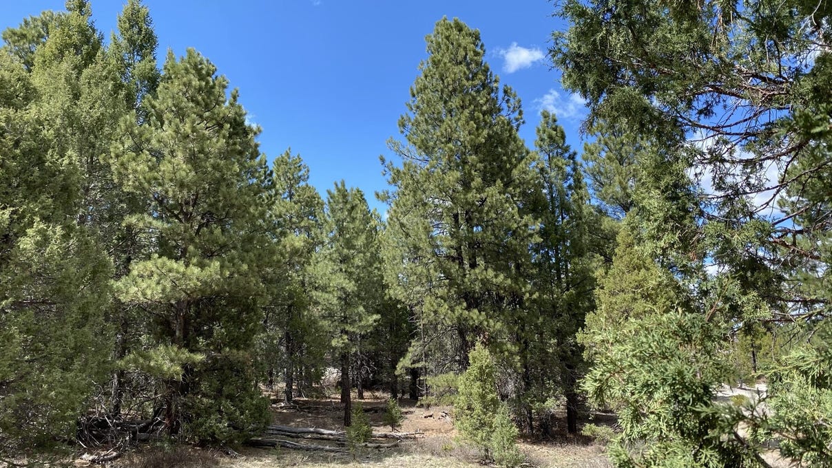 Elk Meadows Dr Lot 7