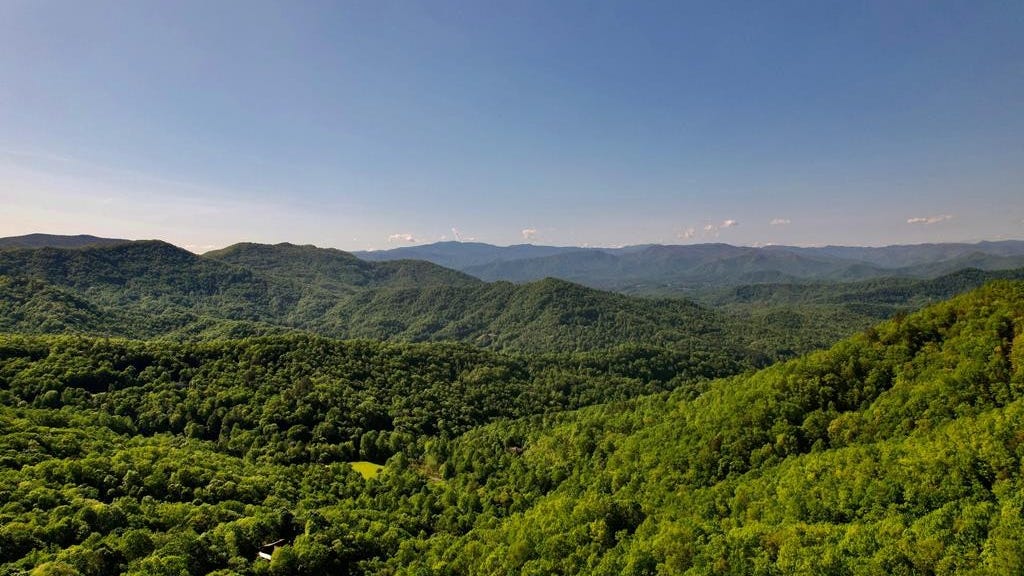 Lot 7 Forest Run Rd  