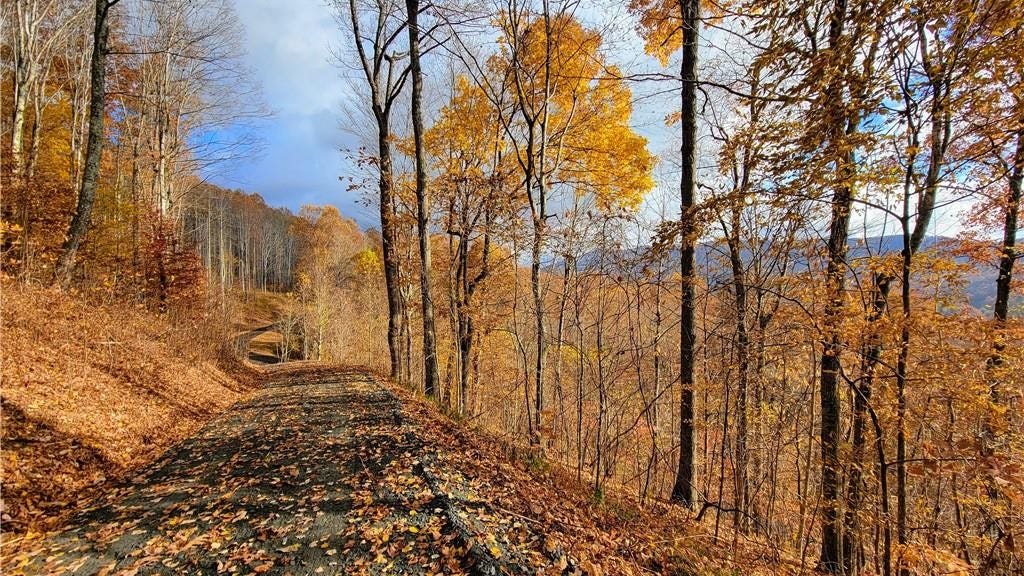 Lot 30 Whispering Breeze Ridge Todd NC 28684 Land For Sale 
