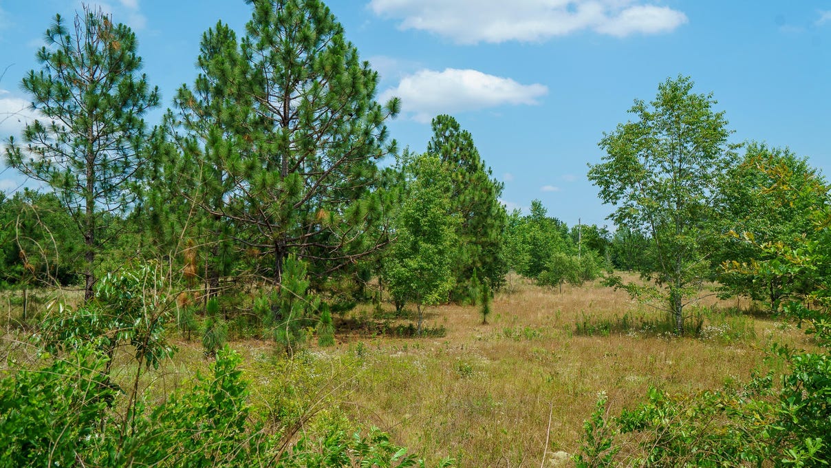 00 Kennedy Pond Rd