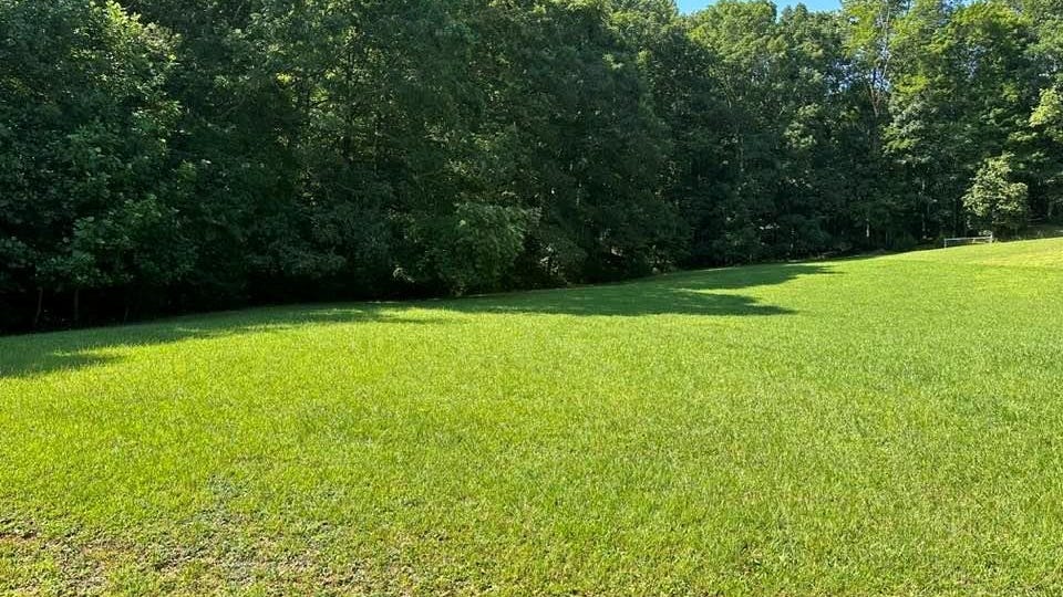 Lot 11 The Falls at Willowbrook  