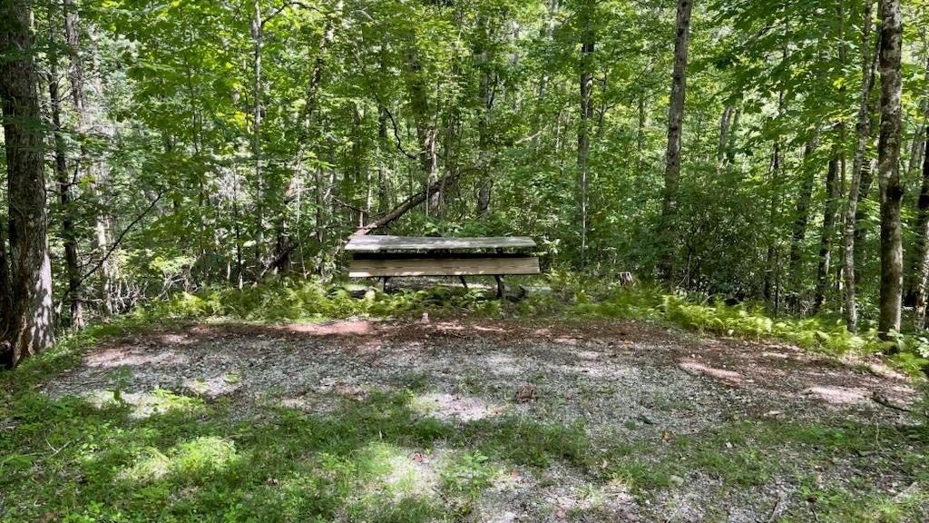 Lot 34 Rainbow Trout  